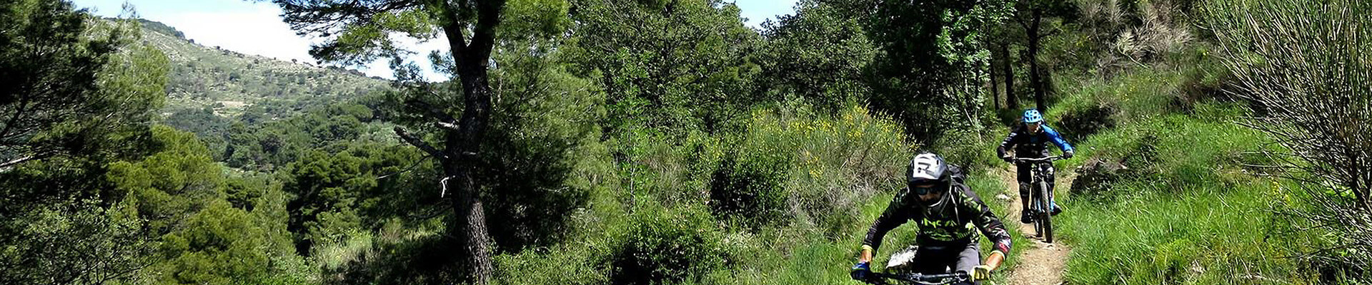 Bikers im Mountainbike auf einem bergab im Wald