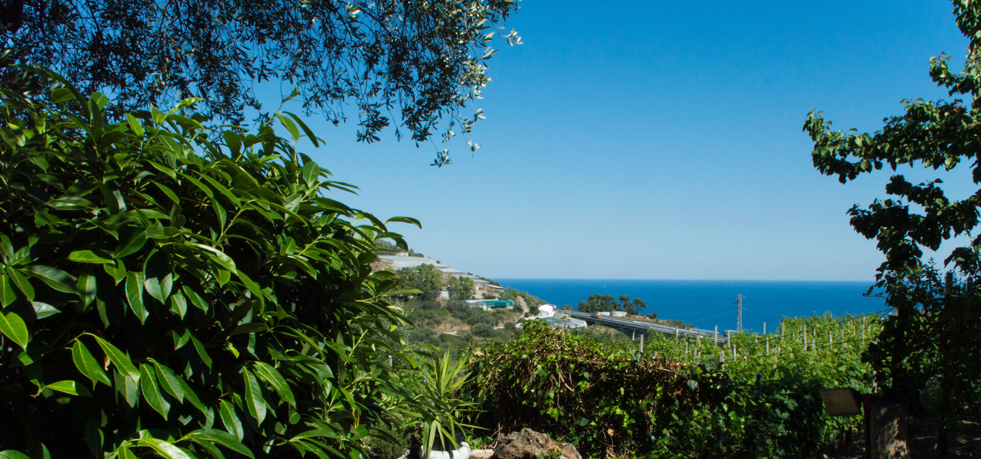 Comfortable bungalows in the camping surrounded by greenery