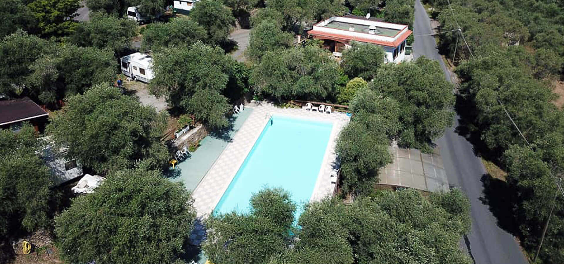 La grande piscina del camping immersa tra gli ulivi